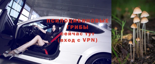 синтетический гашиш Няндома